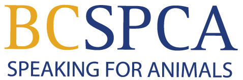 BC SPCA : SPEAKING FOR ANIMALS